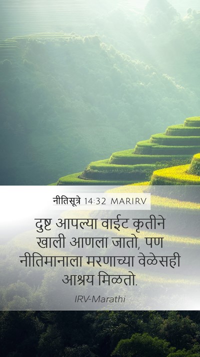 नीतिसूत्रे 14:32 MARIRV Bible Verse Image