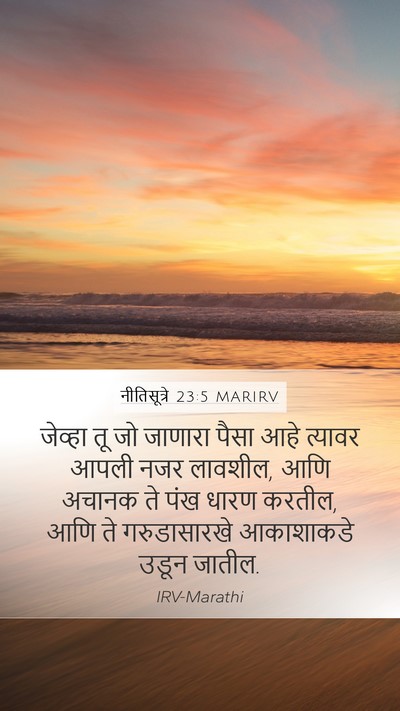 नीतिसूत्रे 23:5 MARIRV Bible Verse Image
