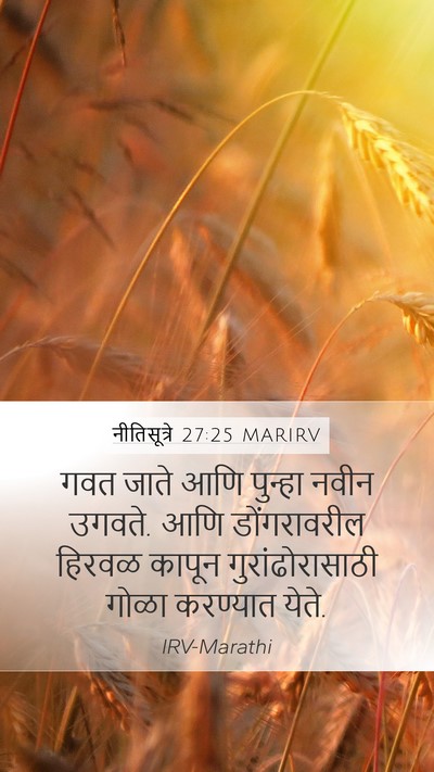 नीतिसूत्रे 27:25 MARIRV Mobile Phone Wallpaper - गवत जाते आणि - Mobile Bible Verse Wallpaper