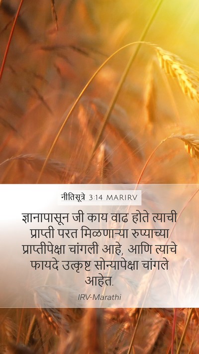 नीतिसूत्रे 3:14 MARIRV Bible Verse Image