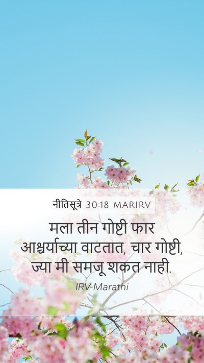 नीतिसूत्रे 30:18 MARIRV Mobile Phone Wallpaper - मला तीन गोष्टी फार - Mobile Bible Verse Wallpaper