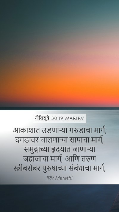 नीतिसूत्रे 30:19 MARIRV Mobile Phone Wallpaper - आकाशात उडणाऱ्या - Mobile Bible Verse Wallpaper