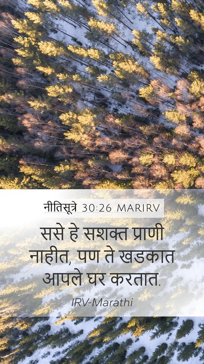 नीतिसूत्रे 30:26 MARIRV Mobile Phone Wallpaper - ससे हे सशक्त - Mobile Bible Verse Wallpaper