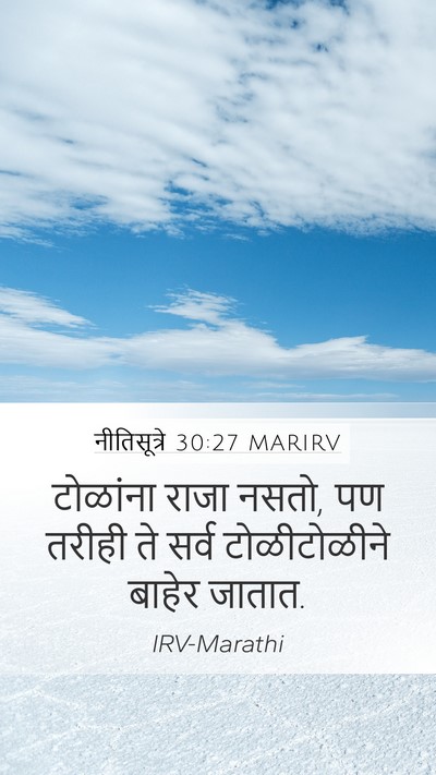 नीतिसूत्रे 30:27 MARIRV Bible Verse Image