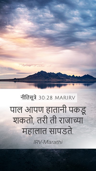 नीतिसूत्रे 30:28 MARIRV Mobile Phone Wallpaper - पाल आपण हातानी - Mobile Bible Verse Wallpaper