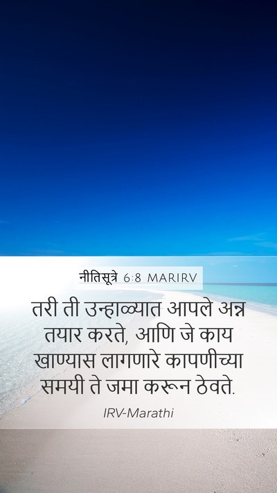 नीतिसूत्रे 6:8 MARIRV Bible Verse Image