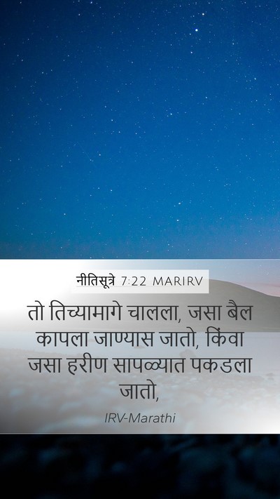 नीतिसूत्रे 7:22 MARIRV Bible Verse Image