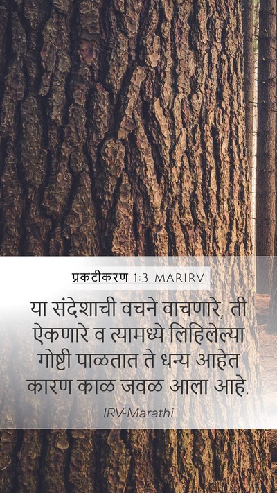 प्रकटीकरण 1:3 MARIRV Bible Verse Image