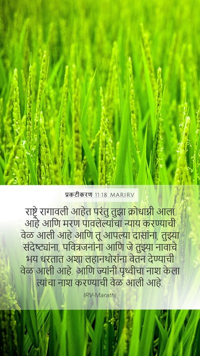 प्रकटीकरण 11:18 MARIRV Bible Verse Image
