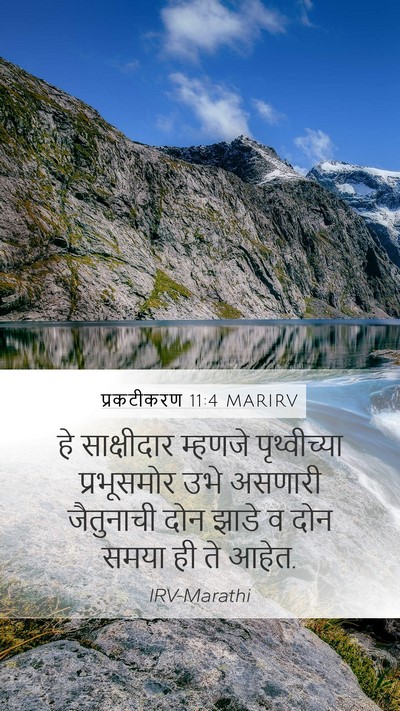 प्रकटीकरण 11:4 MARIRV Bible Verse Image