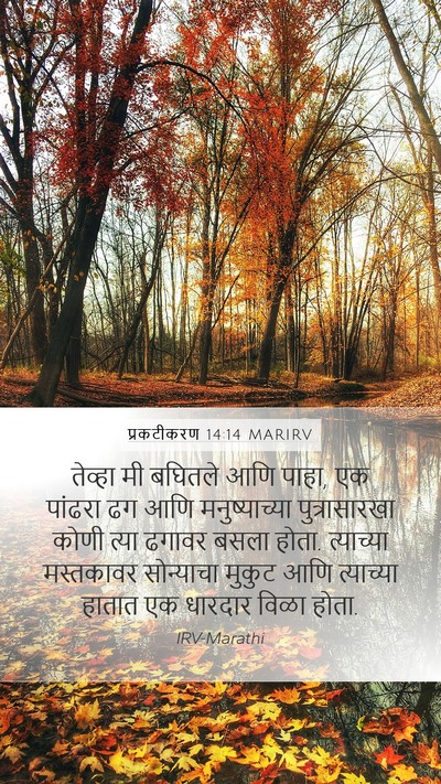 प्रकटीकरण 14:14 MARIRV Bible Verse Image