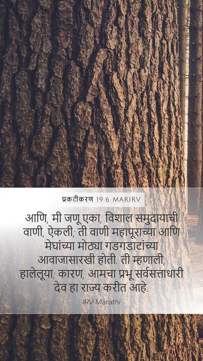 प्रकटीकरण 19:6 MARIRV Bible Verse Image
