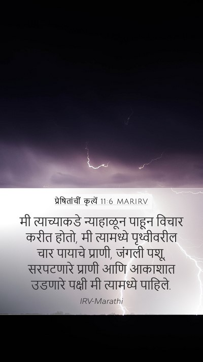 प्रेषितांचीं कृत्यें 11:6 MARIRV Bible Verse Image