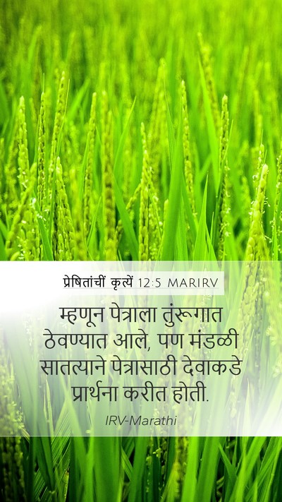प्रेषितांचीं कृत्यें 12:5 MARIRV Bible Verse Image