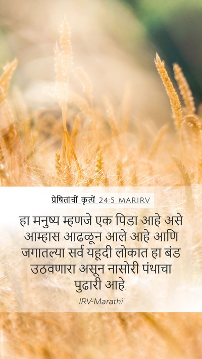 प्रेषितांचीं कृत्यें 24:5 MARIRV Bible Verse Image