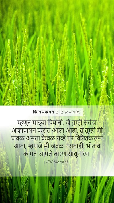फिलिप्पैकरांस 2:12 MARIRV Bible Verse Image