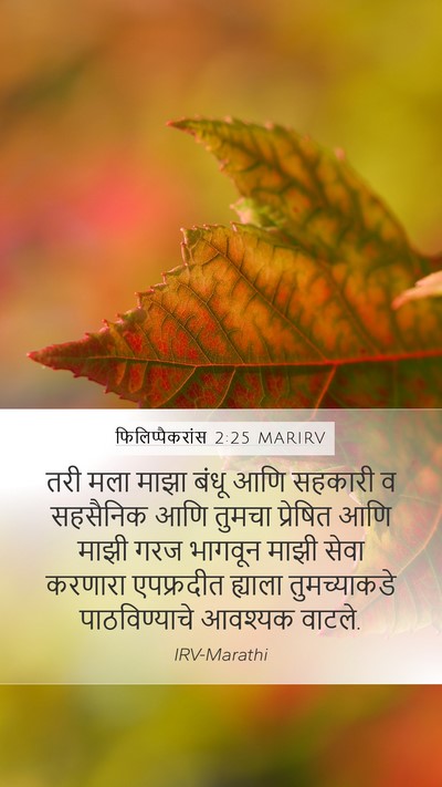 फिलिप्पैकरांस 2:25 MARIRV Bible Verse Image