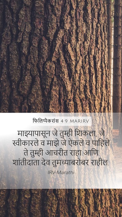 फिलिप्पैकरांस 4:9 MARIRV Bible Verse Image