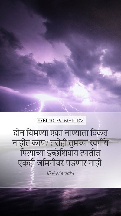 मत्तय 10:29 MARIRV Bible Verse Image