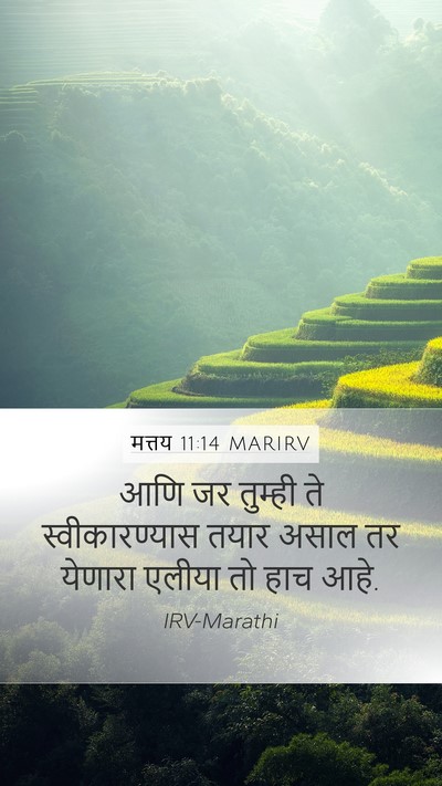 मत्तय 11:14 MARIRV Bible Verse Image