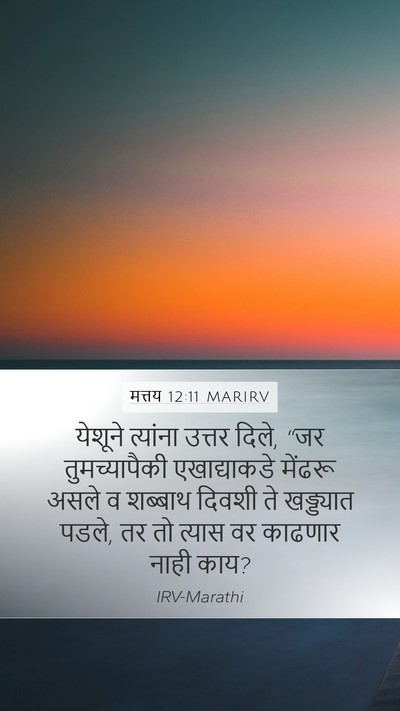 मत्तय 12:11 MARIRV Bible Verse Image