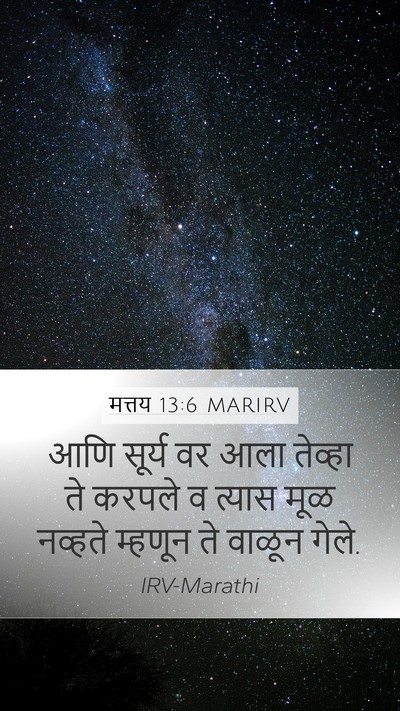 मत्तय 13:6 MARIRV Bible Verse Image