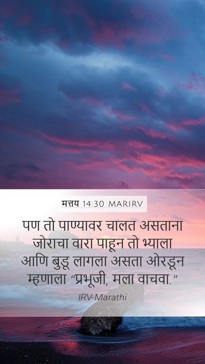 मत्तय 14:30 MARIRV Bible Verse Image