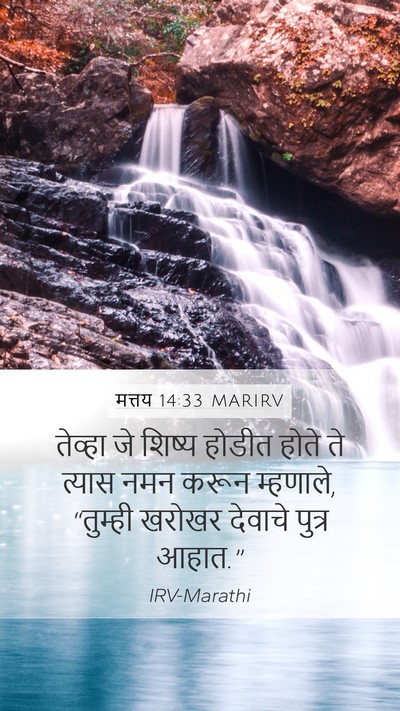 मत्तय 14:33 MARIRV Bible Verse Image