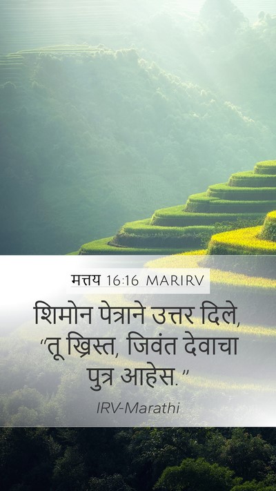 मत्तय 16:16 MARIRV Bible Verse Image