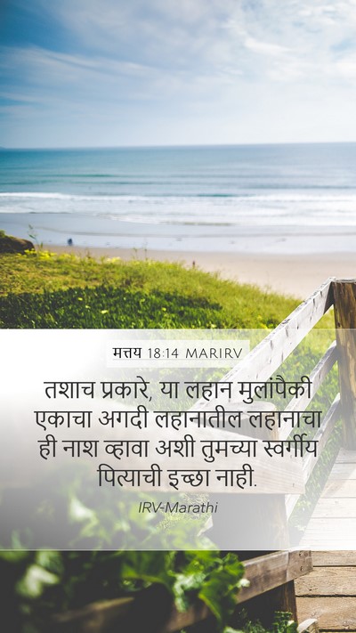 मत्तय 18:14 MARIRV Bible Verse Image