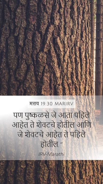 मत्तय 19:30 MARIRV Bible Verse Image