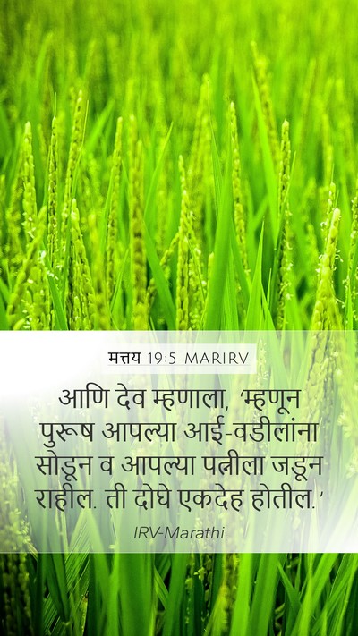मत्तय 19:5 MARIRV Bible Verse Image