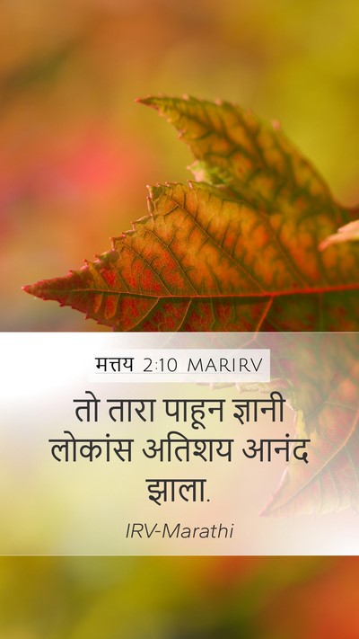 मत्तय 2:10 MARIRV Mobile Phone Wallpaper - तो तारा पाहून - Mobile Bible Verse Wallpaper