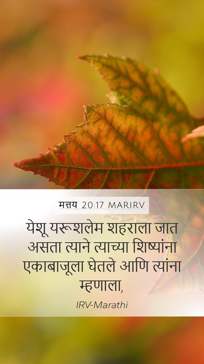 मत्तय 20:17 MARIRV Bible Verse Image