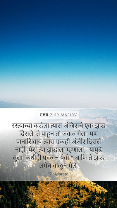 मत्तय 21:19 MARIRV Bible Verse Image