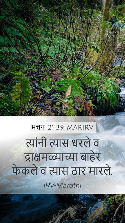 मत्तय 21:39 MARIRV Mobile Phone Wallpaper - त्यांनी त्यास - Mobile Bible Verse Wallpaper