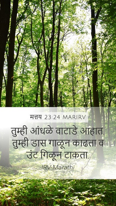 मत्तय 23:24 MARIRV Bible Verse Image