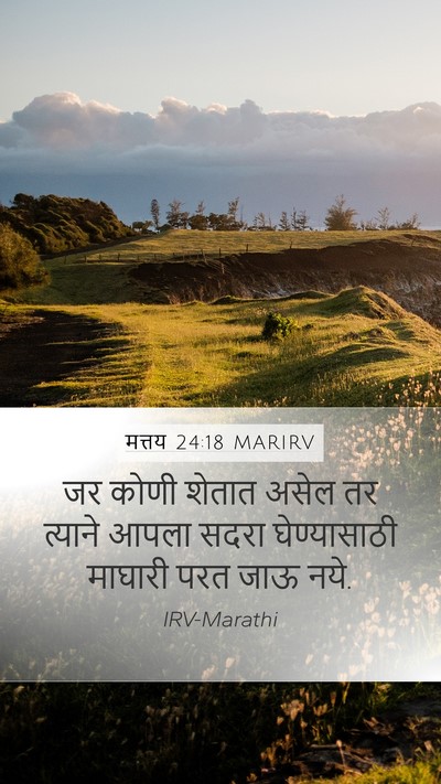 मत्तय 24:18 MARIRV Mobile Phone Wallpaper - जर कोणी शेतात असेल - Mobile Bible Verse Wallpaper