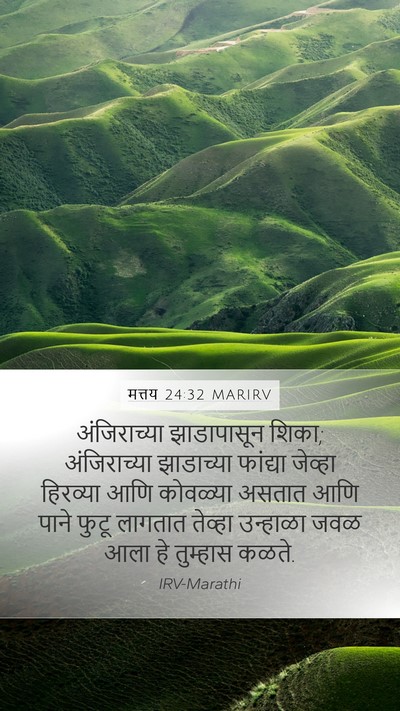 मत्तय 24:32 MARIRV Bible Verse Image
