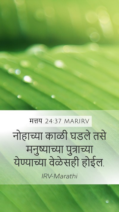 मत्तय 24:37 MARIRV Bible Verse Image