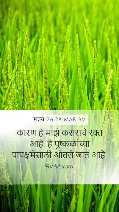 मत्तय 26:28 MARIRV Bible Verse Image