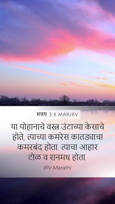 मत्तय 3:4 MARIRV Bible Verse Image