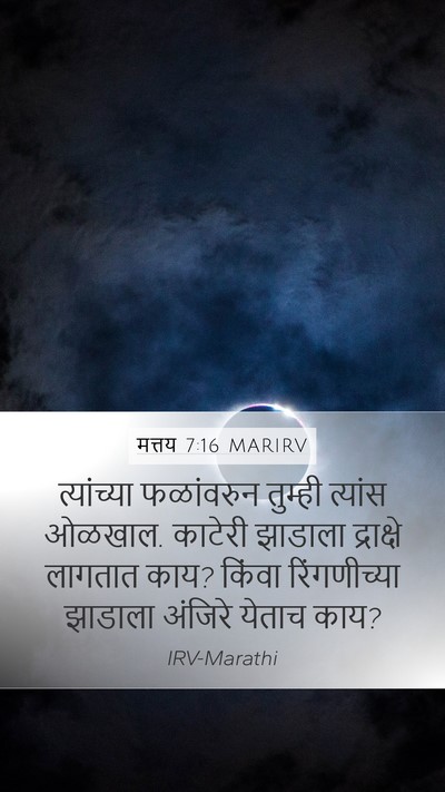 मत्तय 7:16 MARIRV Bible Verse Image