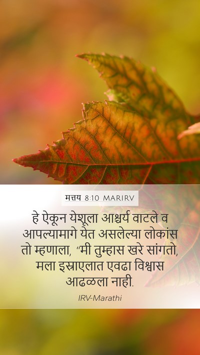 मत्तय 8:10 MARIRV Bible Verse Image
