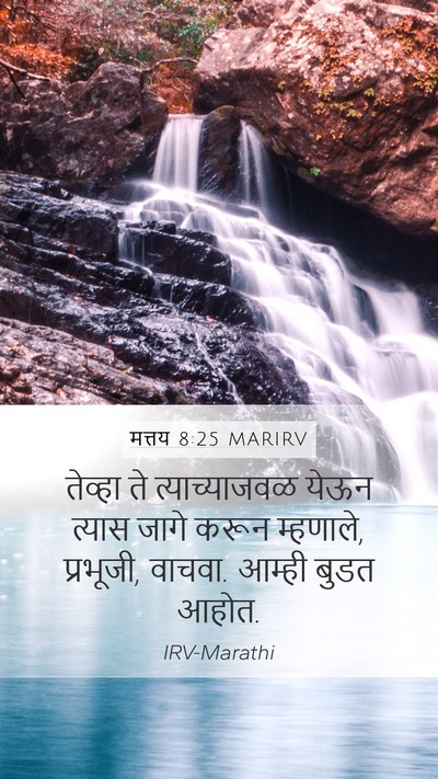 मत्तय 8:25 MARIRV Bible Verse Image