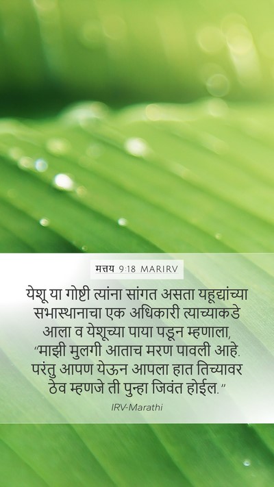 मत्तय 9:18 MARIRV Bible Verse Image