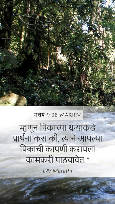 मत्तय 9:38 MARIRV Mobile Phone Wallpaper - म्हणून पिकाच्या - Mobile Bible Verse Wallpaper