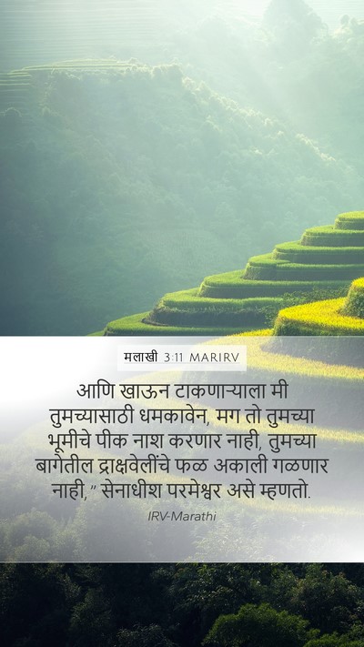 मलाखी 3:11 MARIRV Mobile Phone Wallpaper - आणि खाऊन - Mobile Bible Verse Wallpaper