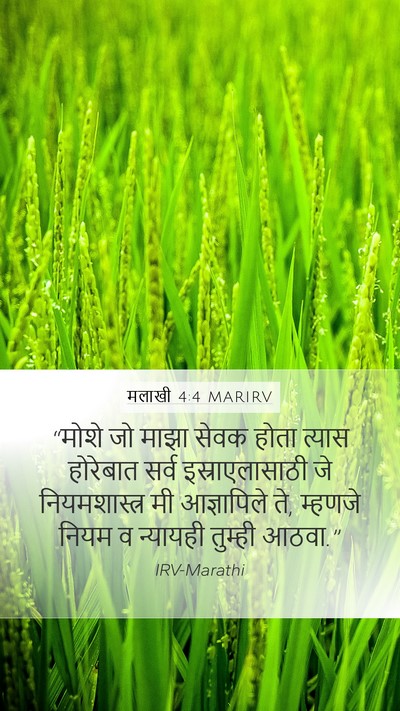 मलाखी 4:4 MARIRV Bible Verse Image