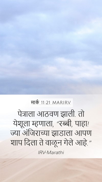 मार्क 11:21 MARIRV Mobile Phone Wallpaper - पेत्राला आठवण - Mobile Bible Verse Wallpaper